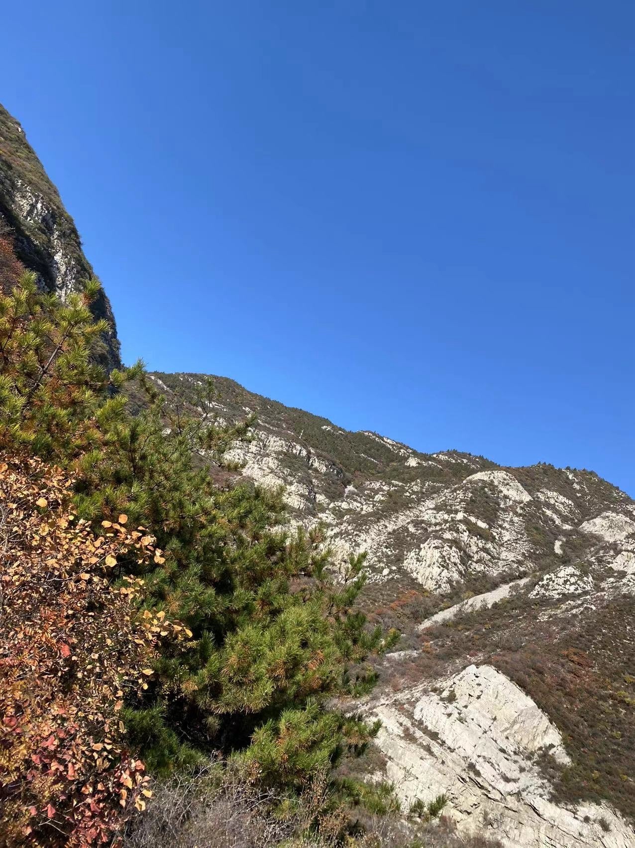 崛围山