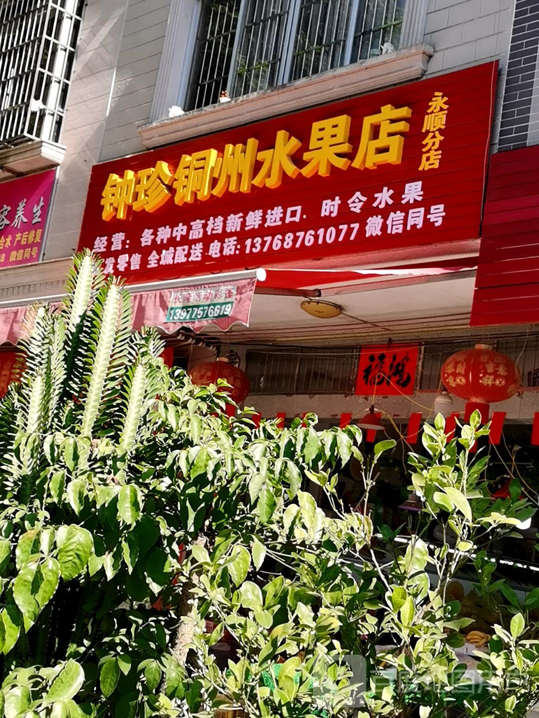 钟珍铜州水果店