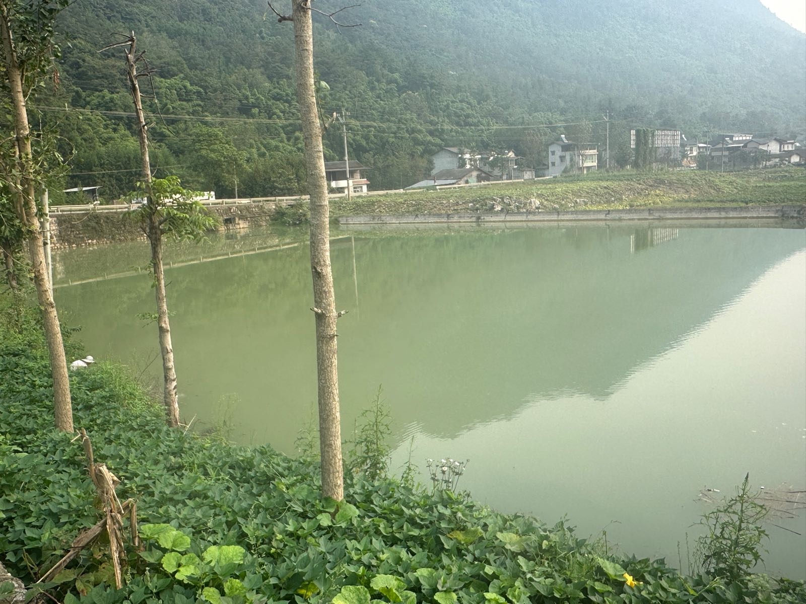 龙潭钓场