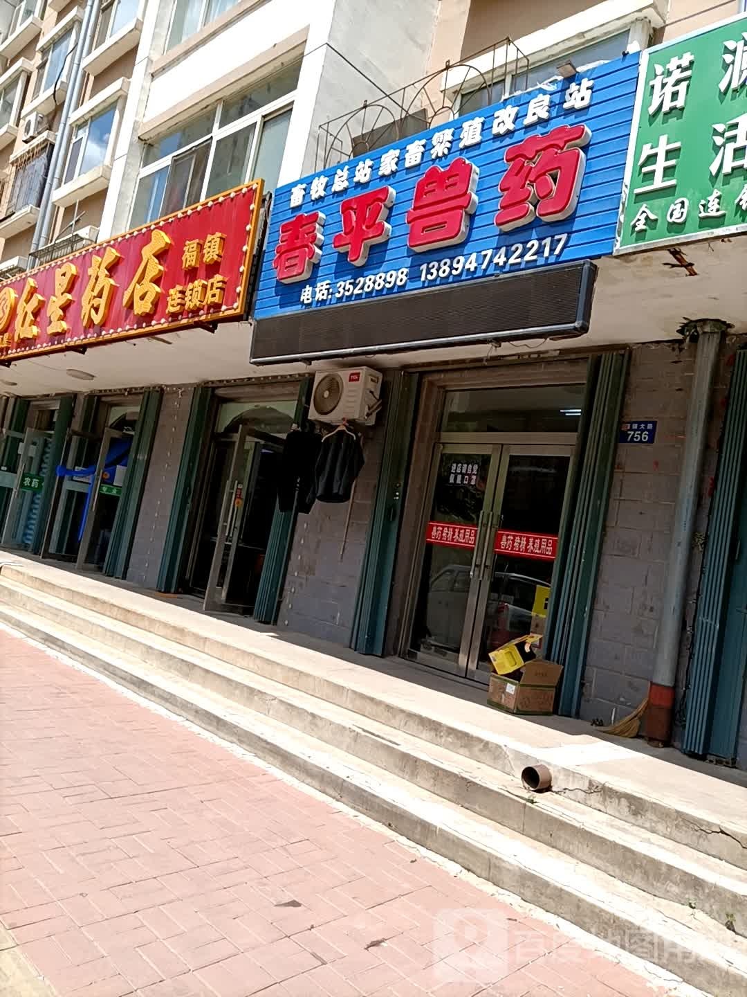 洪星药店(福镇连锁店)