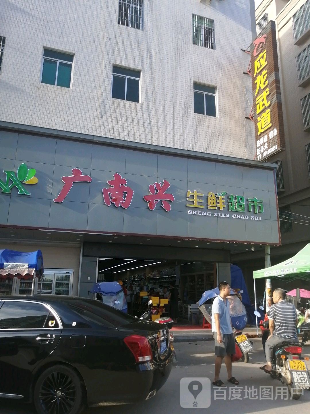 应龙武道