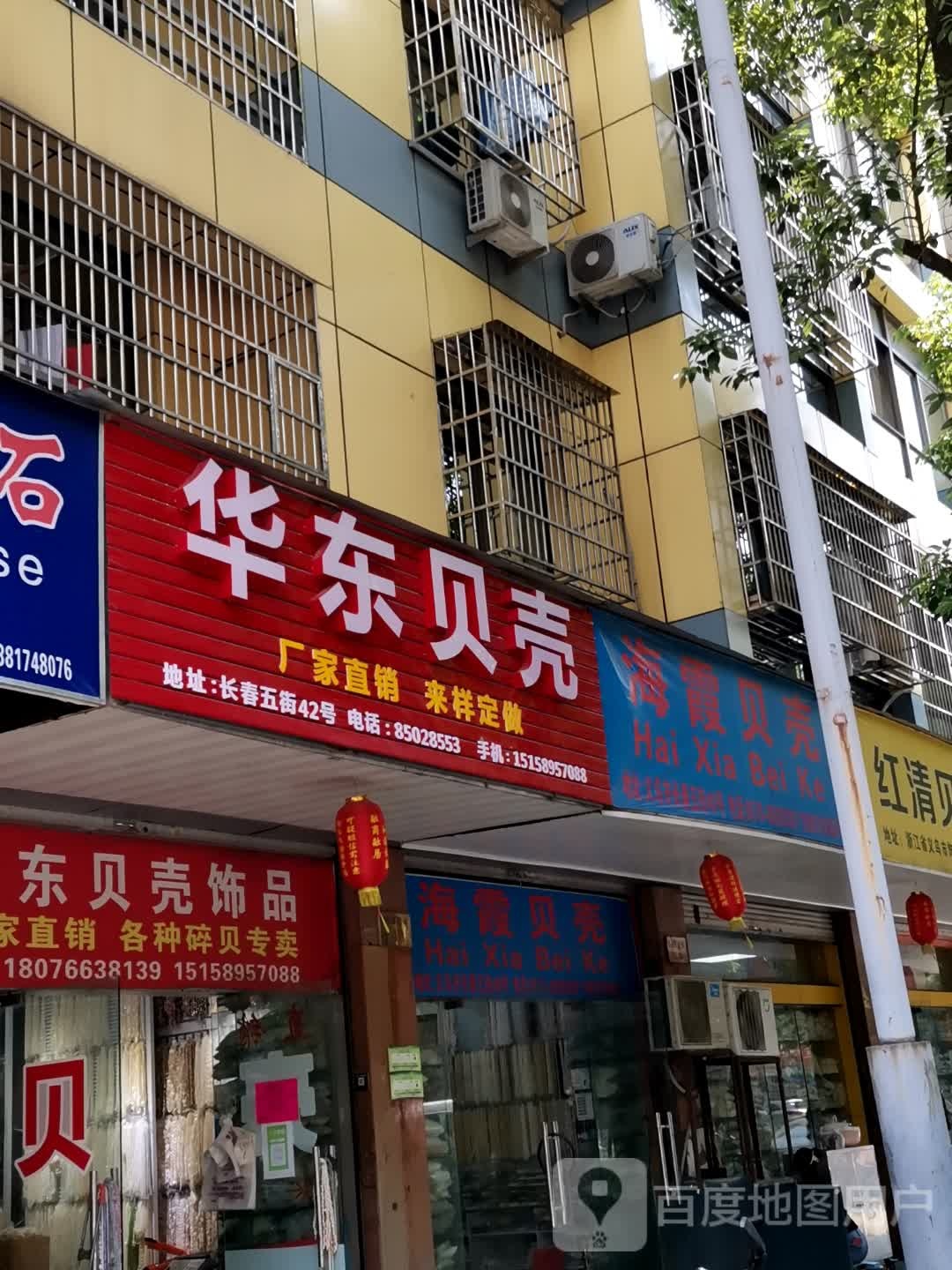 海霞贝壳