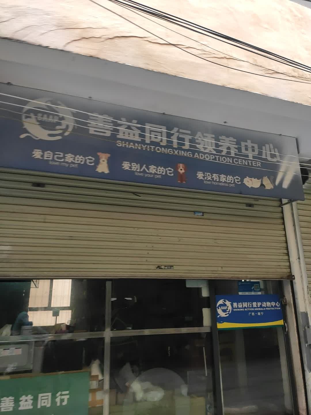 善益同行爱护动物中心