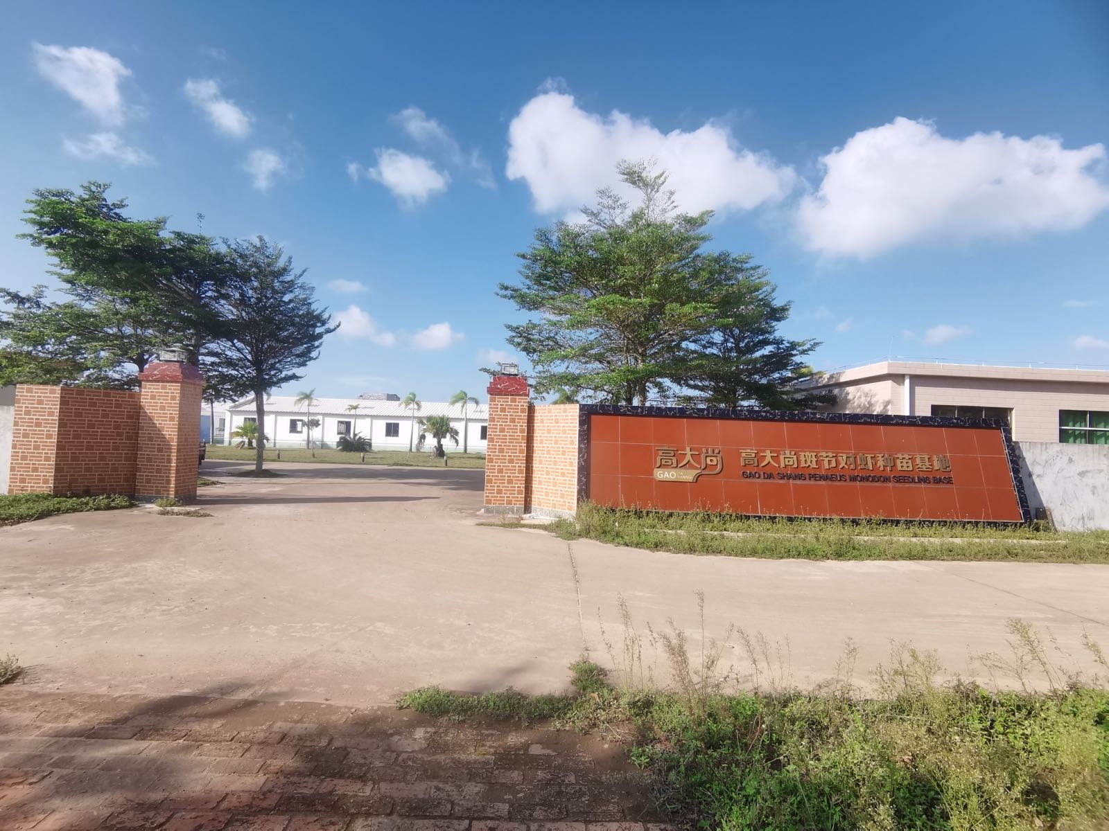 高大尚海洋生物科技有限公司