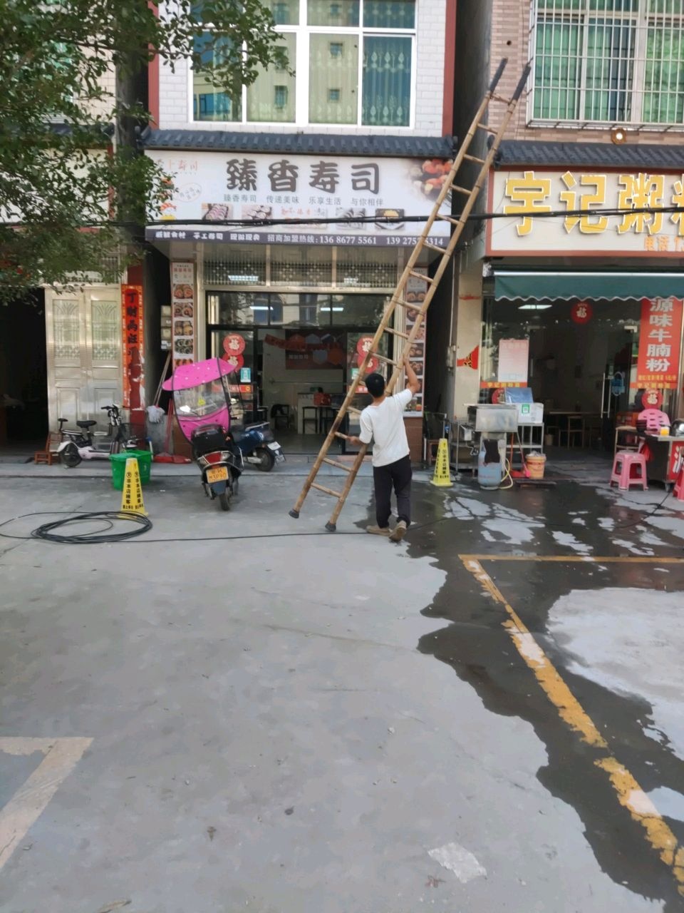 臻香寿司(丽岗店)