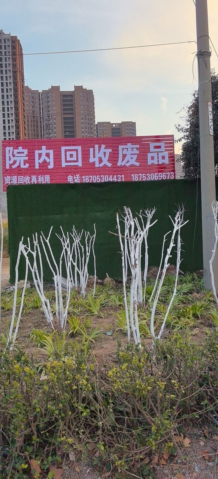 院内回收废品
