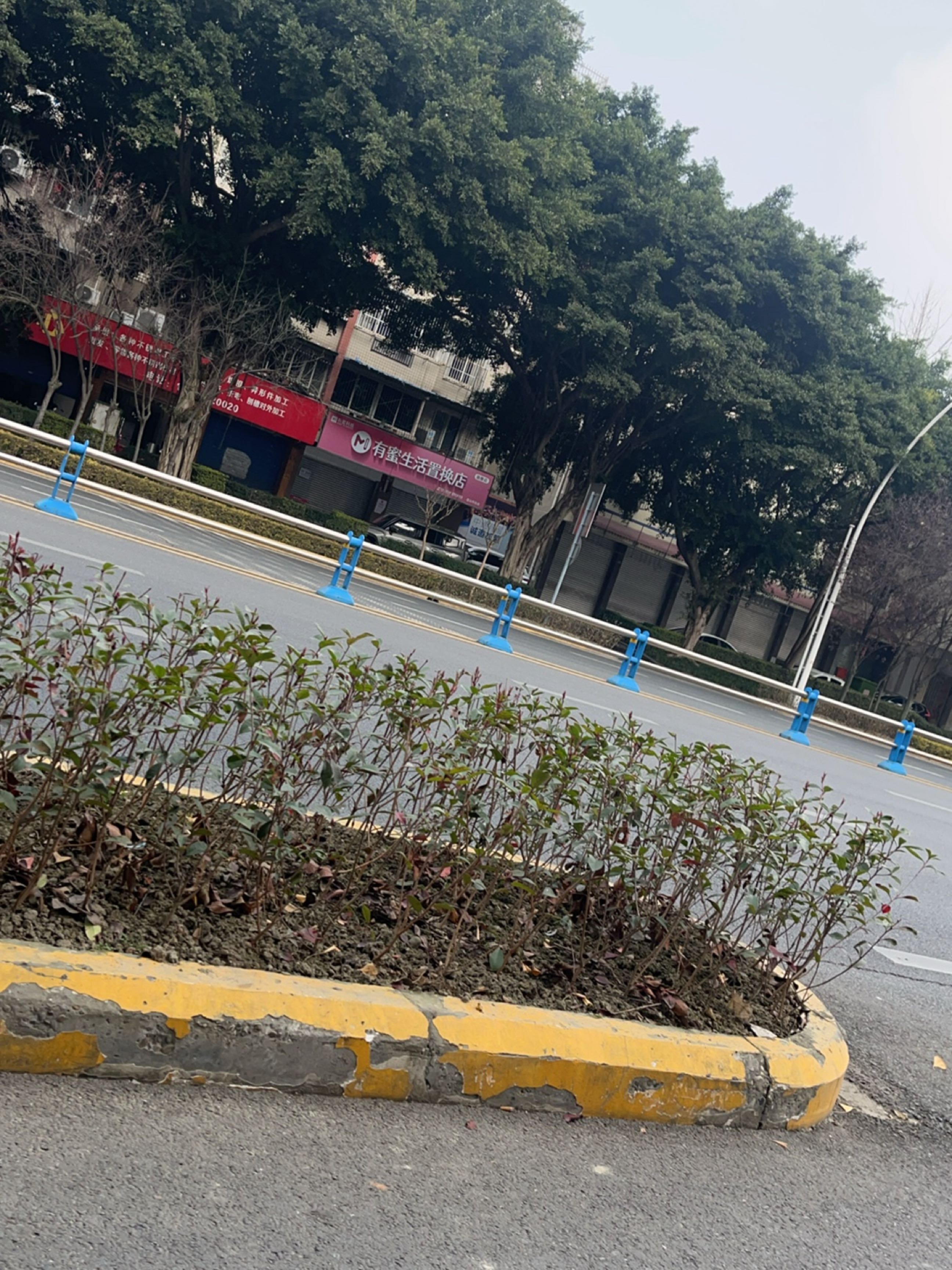 有蜜生活置换店(眉山市总店)