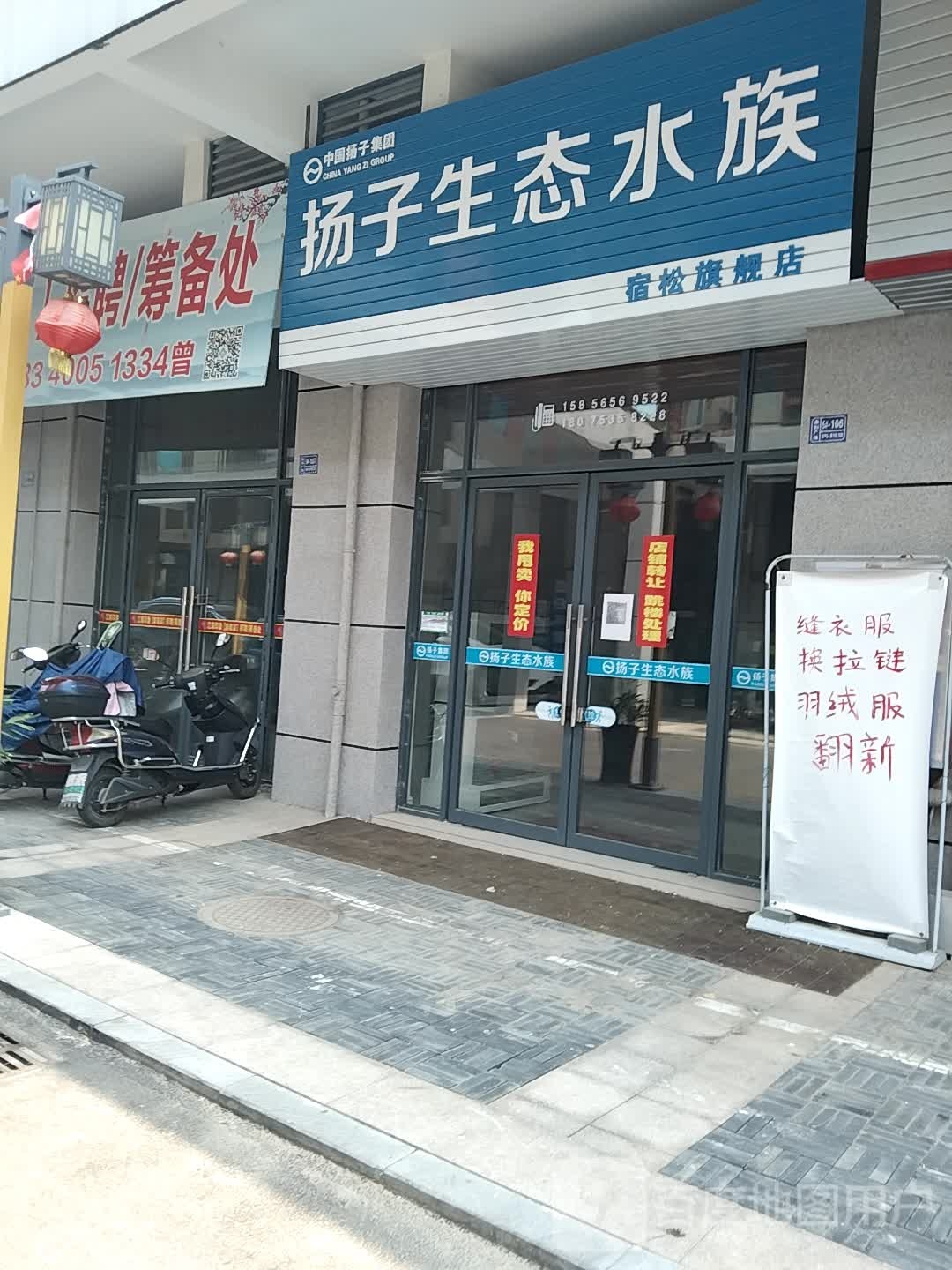 扬子生态城族(宿松旗舰店)