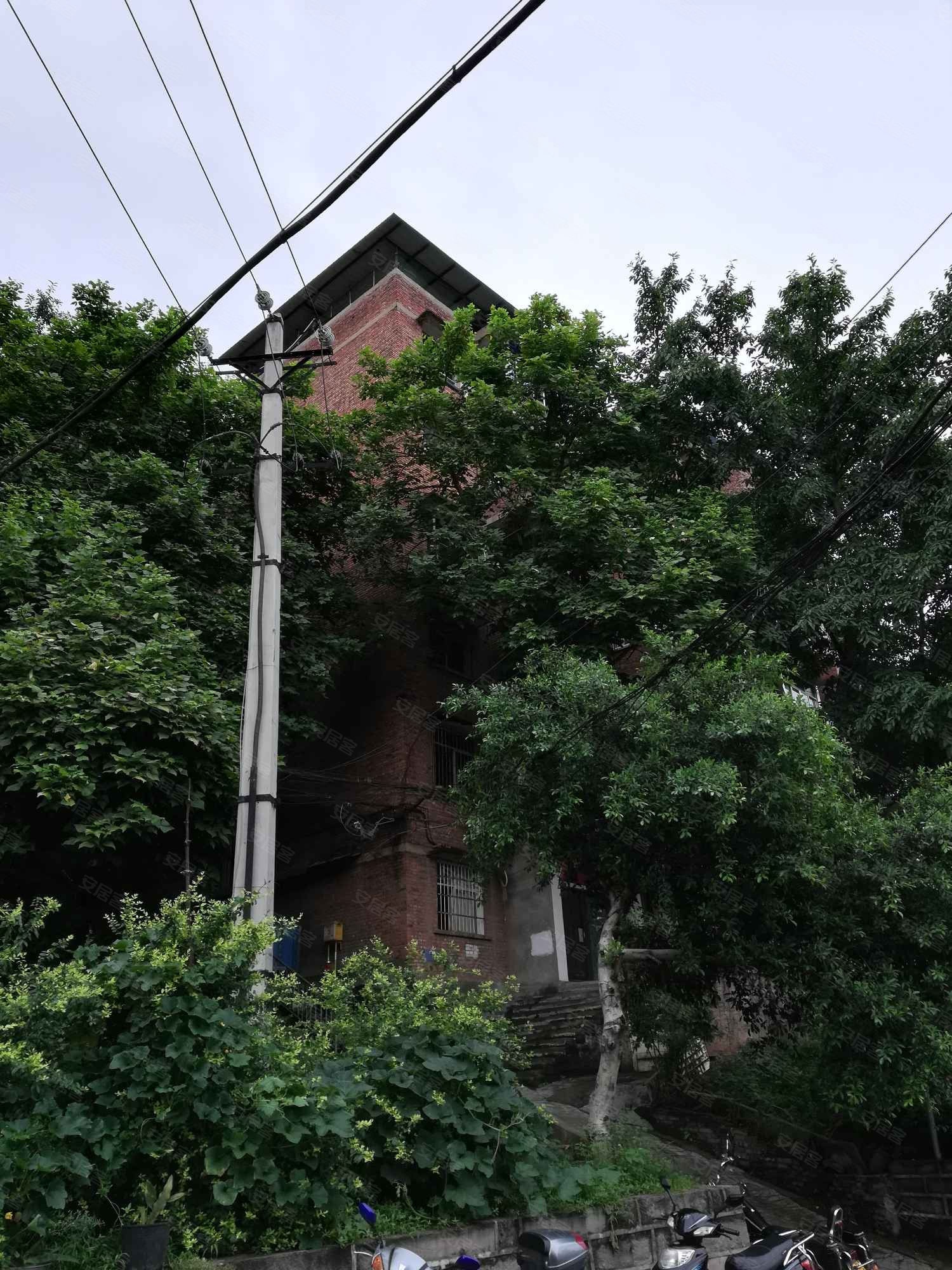 南洲公园集资房