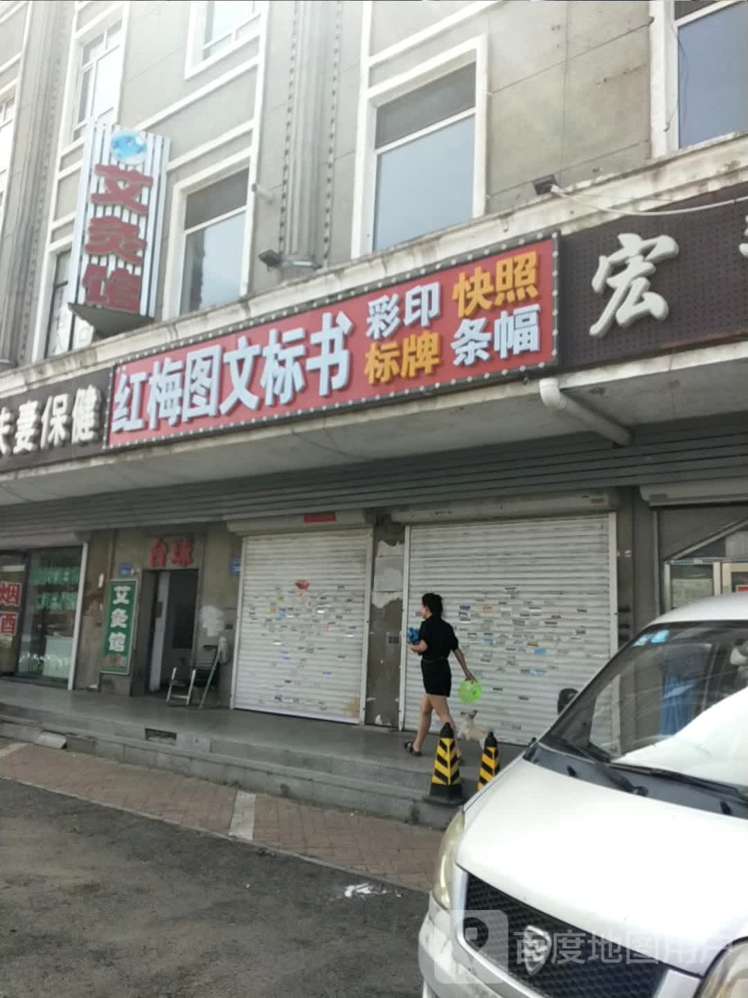 红梅图文标书