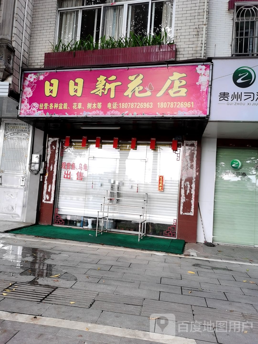 日日新花店