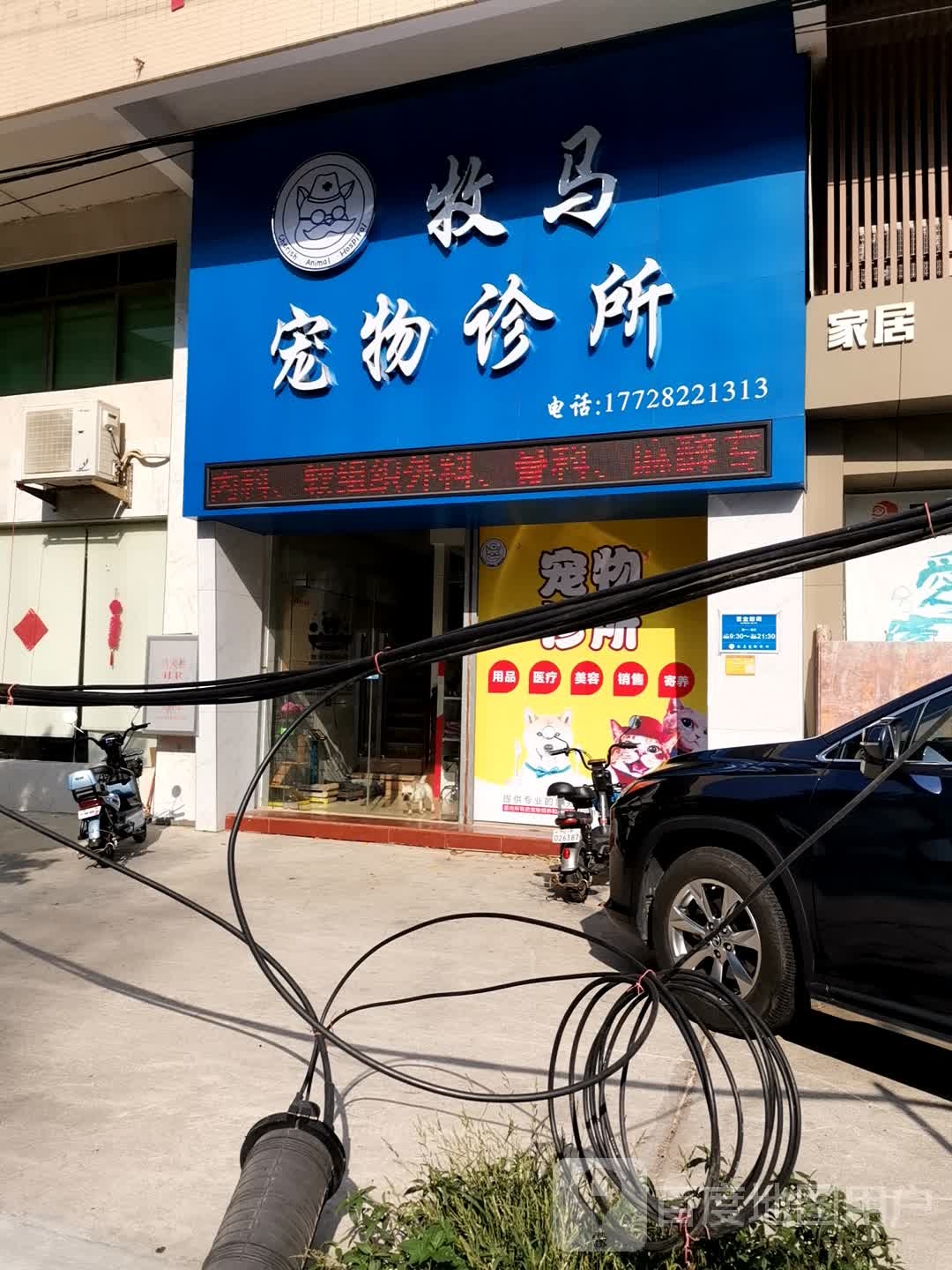 牧马宠物医院(沙岗湖店)