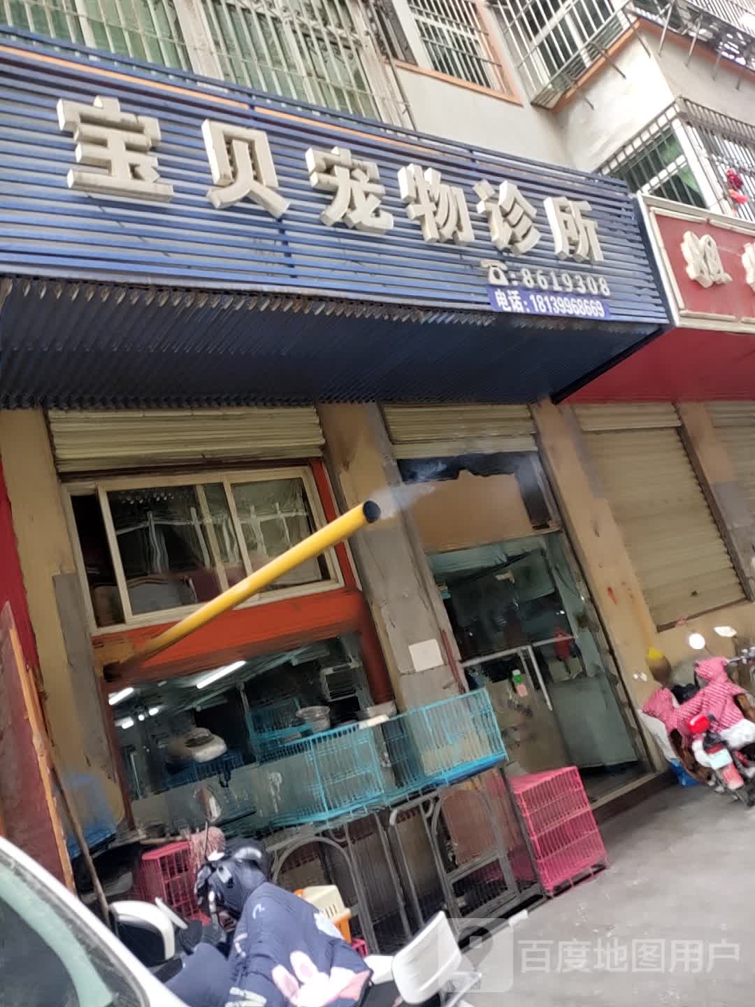 宝贝宠物诊所(人民路店)