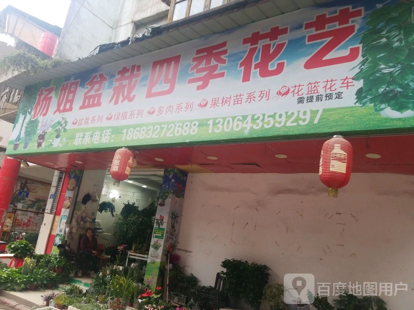 杨姐盆栽四季花艺(街心花园店)