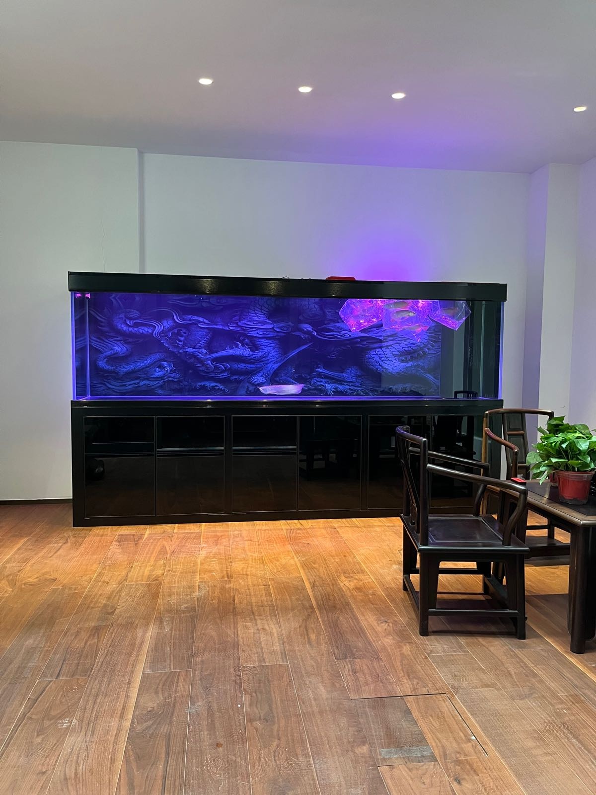 海盛水族