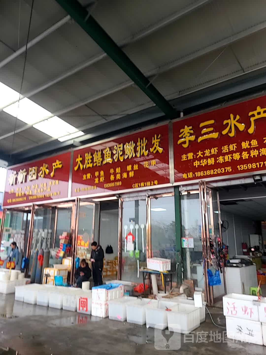 大胜鳝鱼泥鳅批发