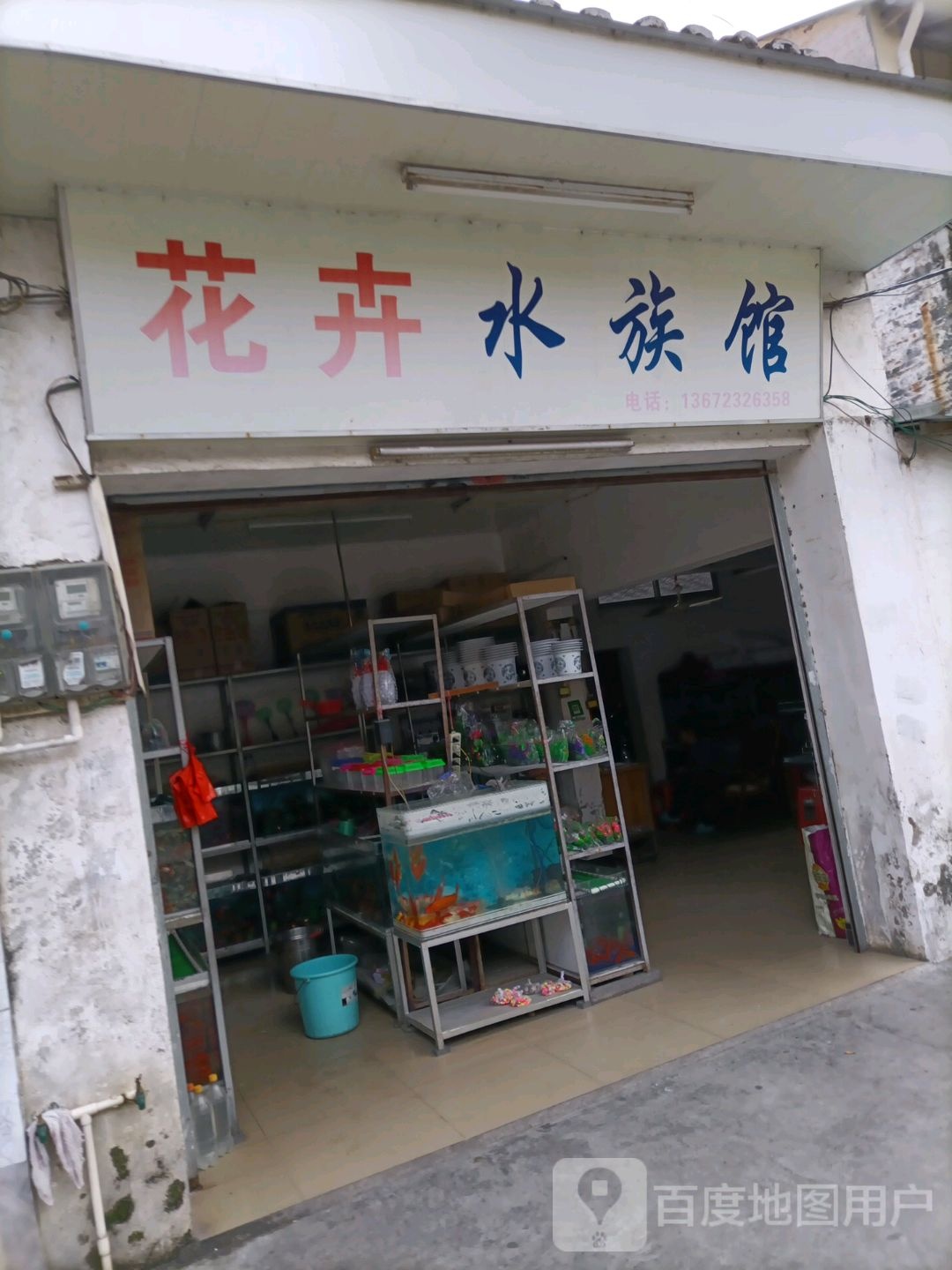 华丽盆景花鸟水族馆