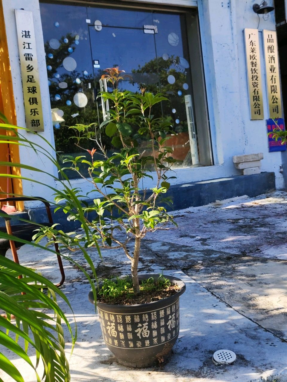 湛江雷乡足球俱乐部