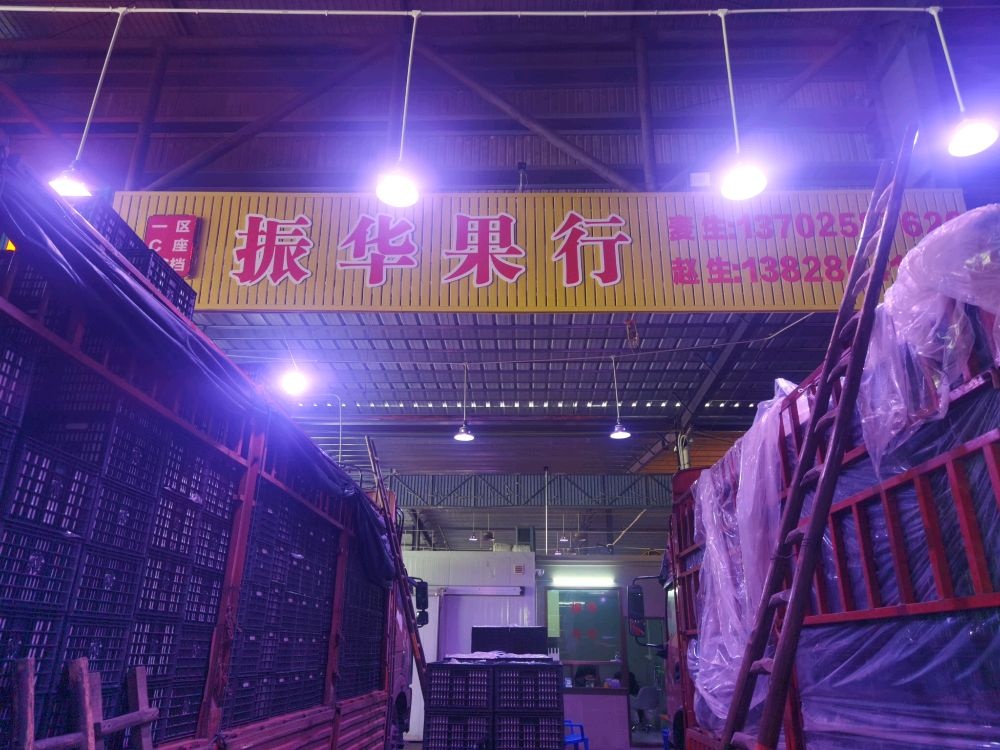 新会区会城振华果行