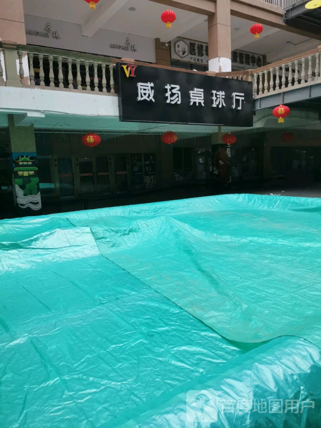威扬桌球厅
