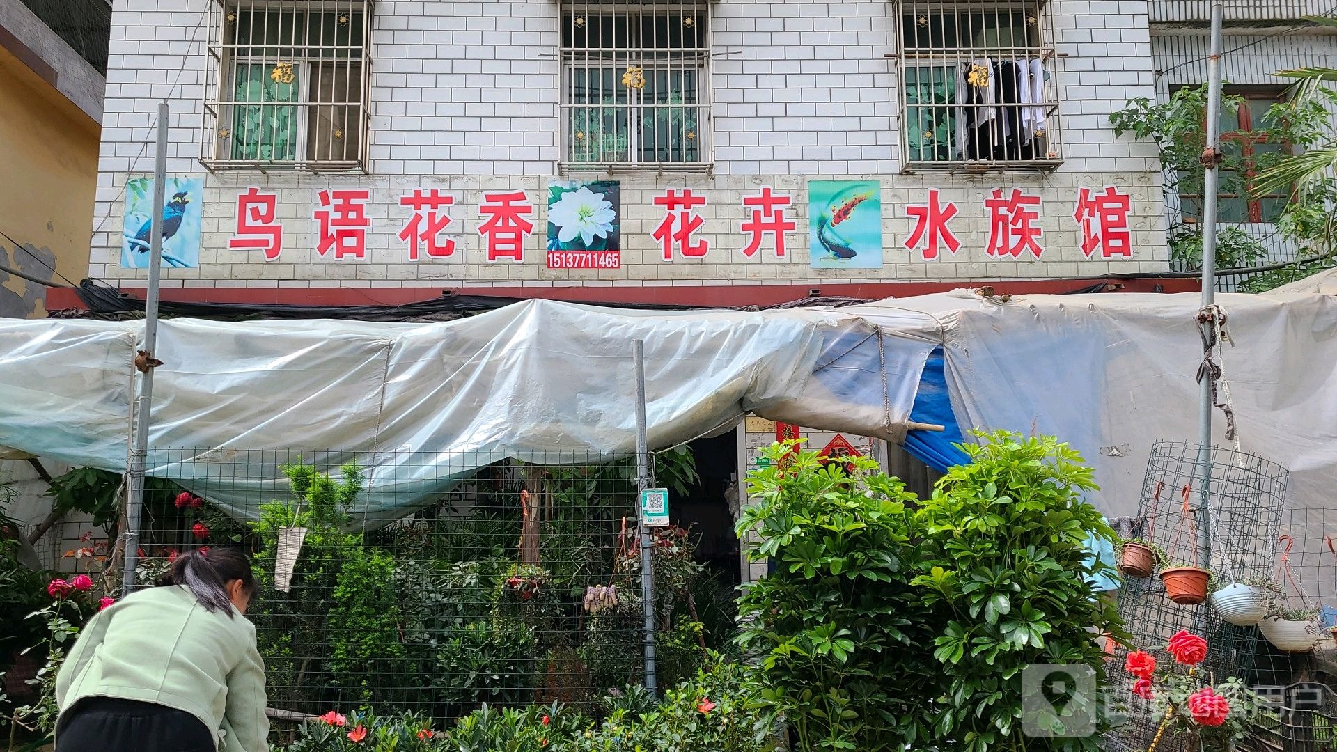 鸟鱼花香花卉水族馆