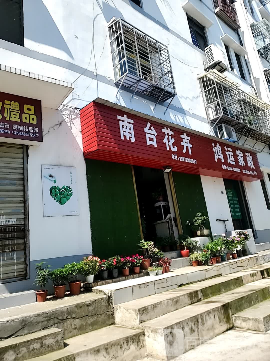 南台花卉
