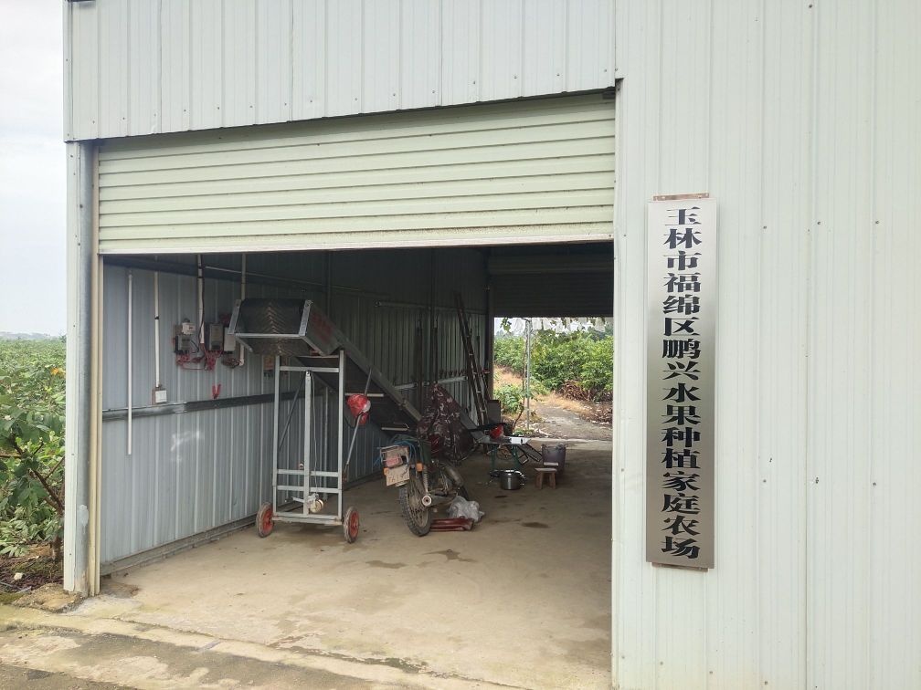 玉林市福绵区鹏兴水果种植家庭农场
