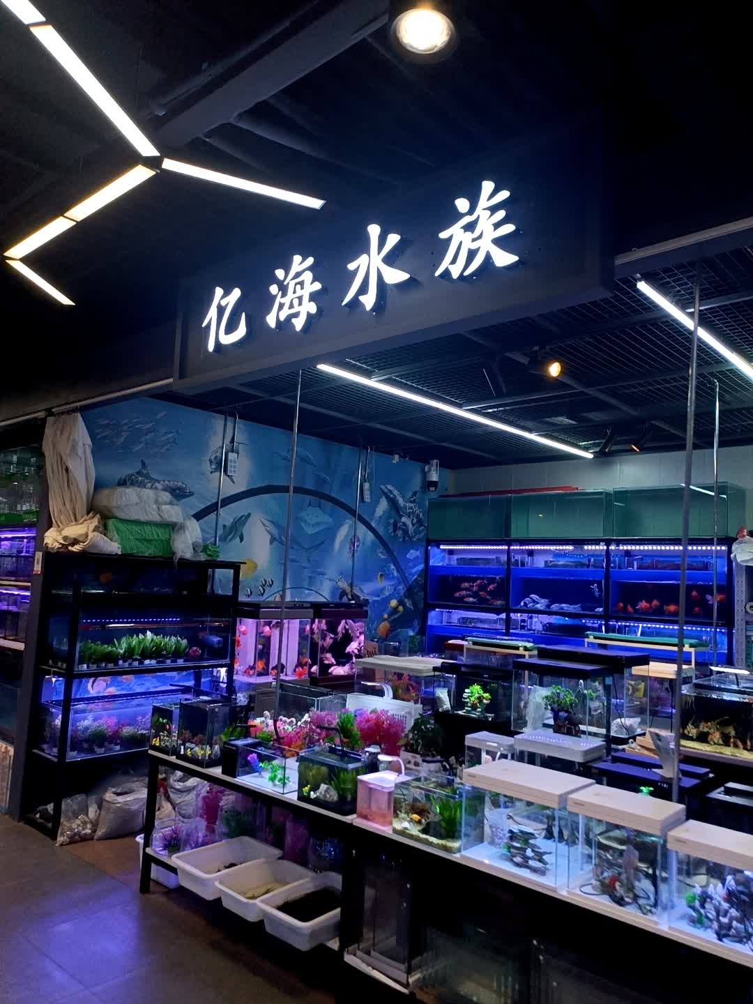 亿海水族(二道区中东大市场店)
