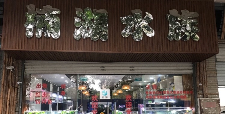 楠湖水景(龙湖店)