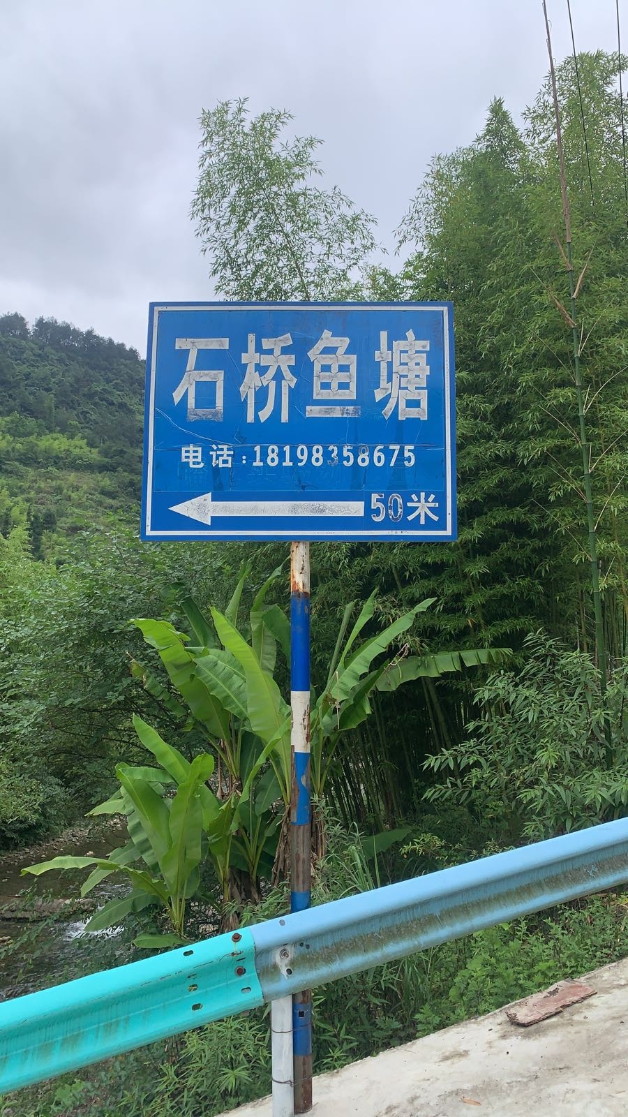 石桥鱼塘