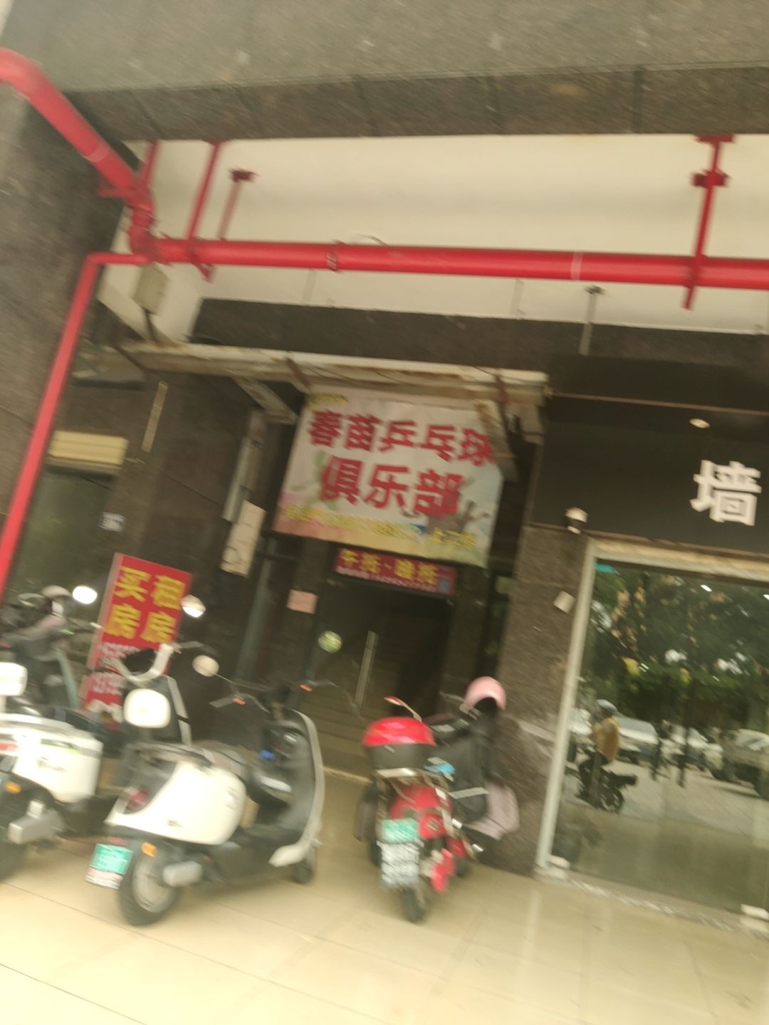 春苗乒乓球俱乐部(新店馆)