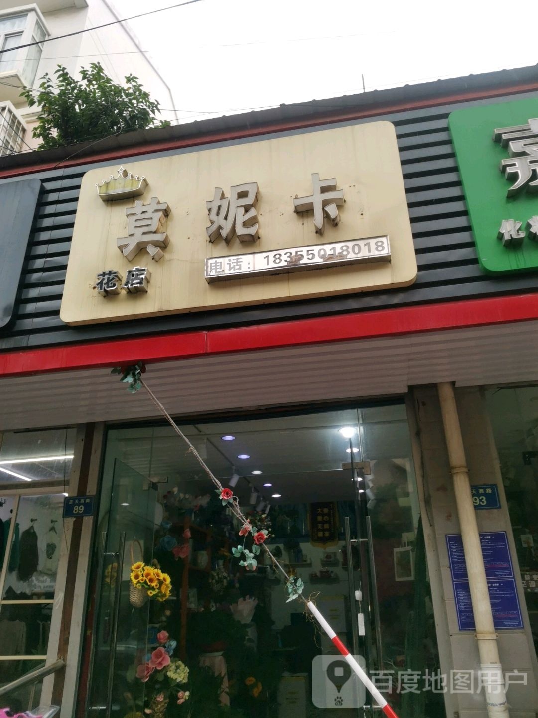 莫妮卡花点
