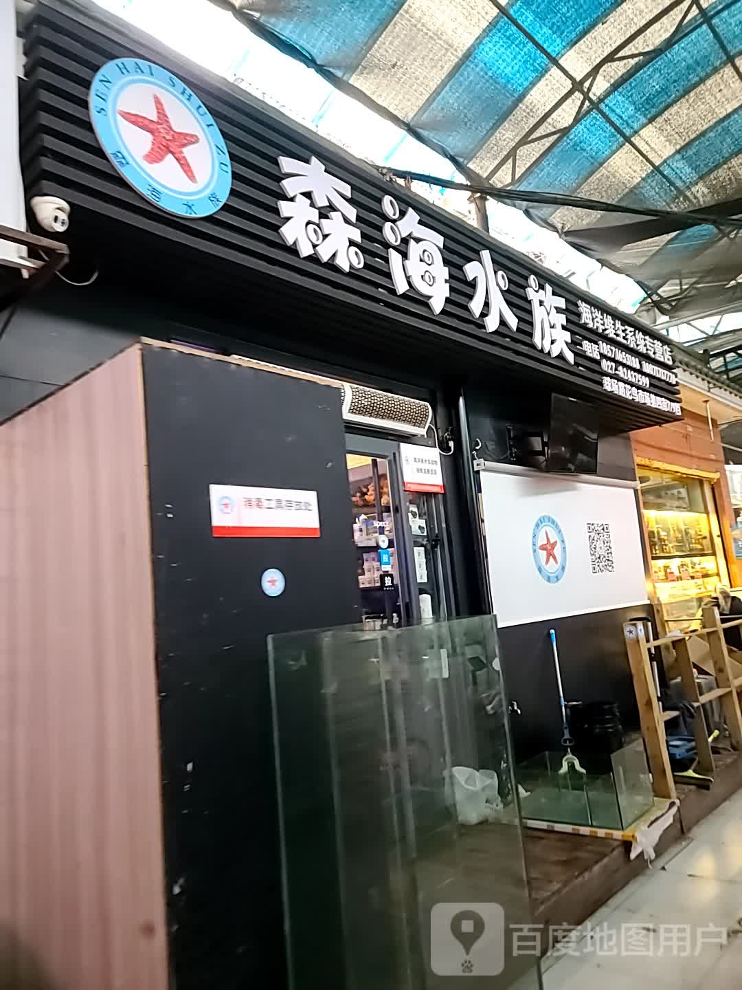 武汉森海水族(海洋维生系统专营店)