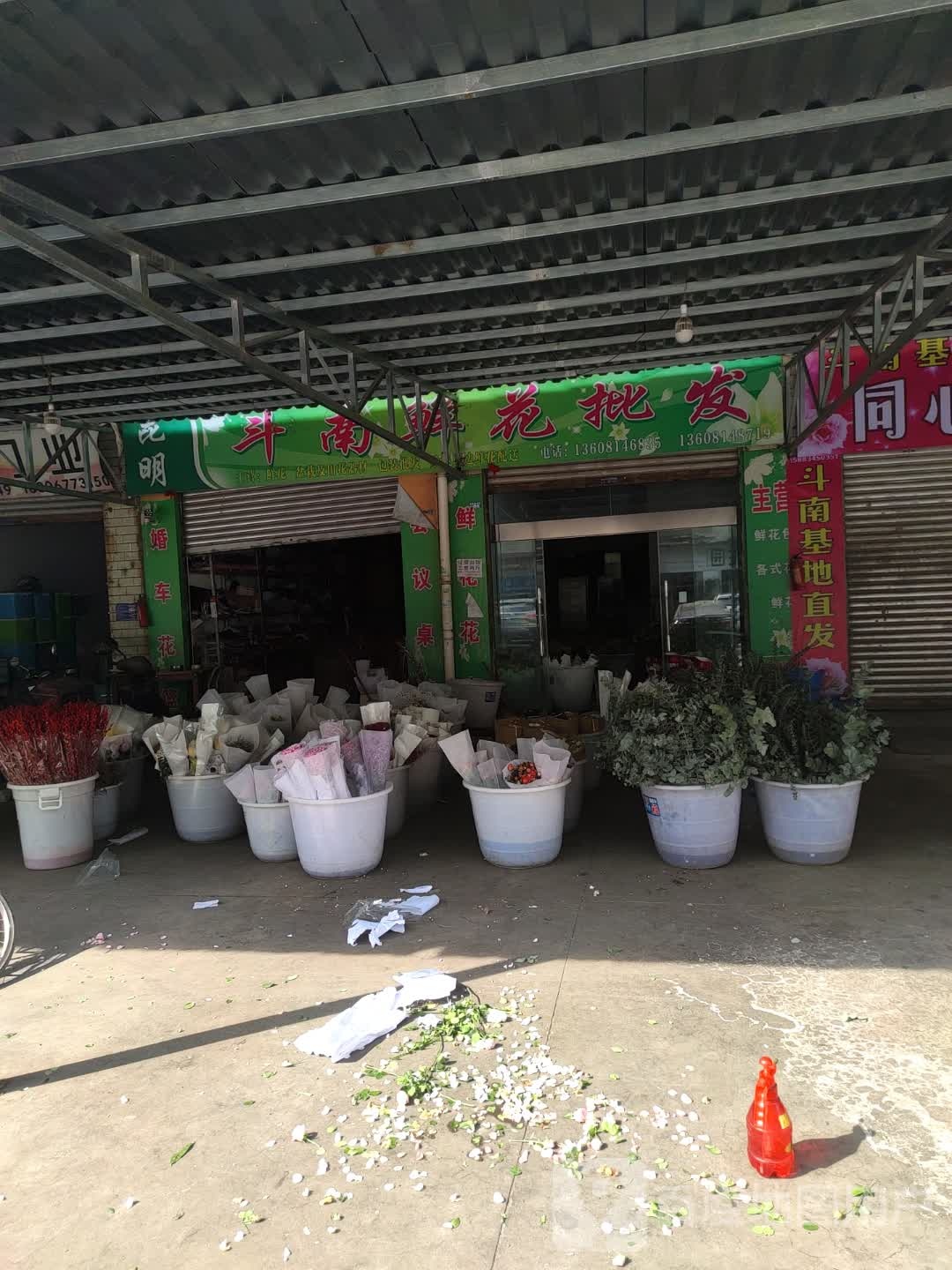 斗南鲜花批发