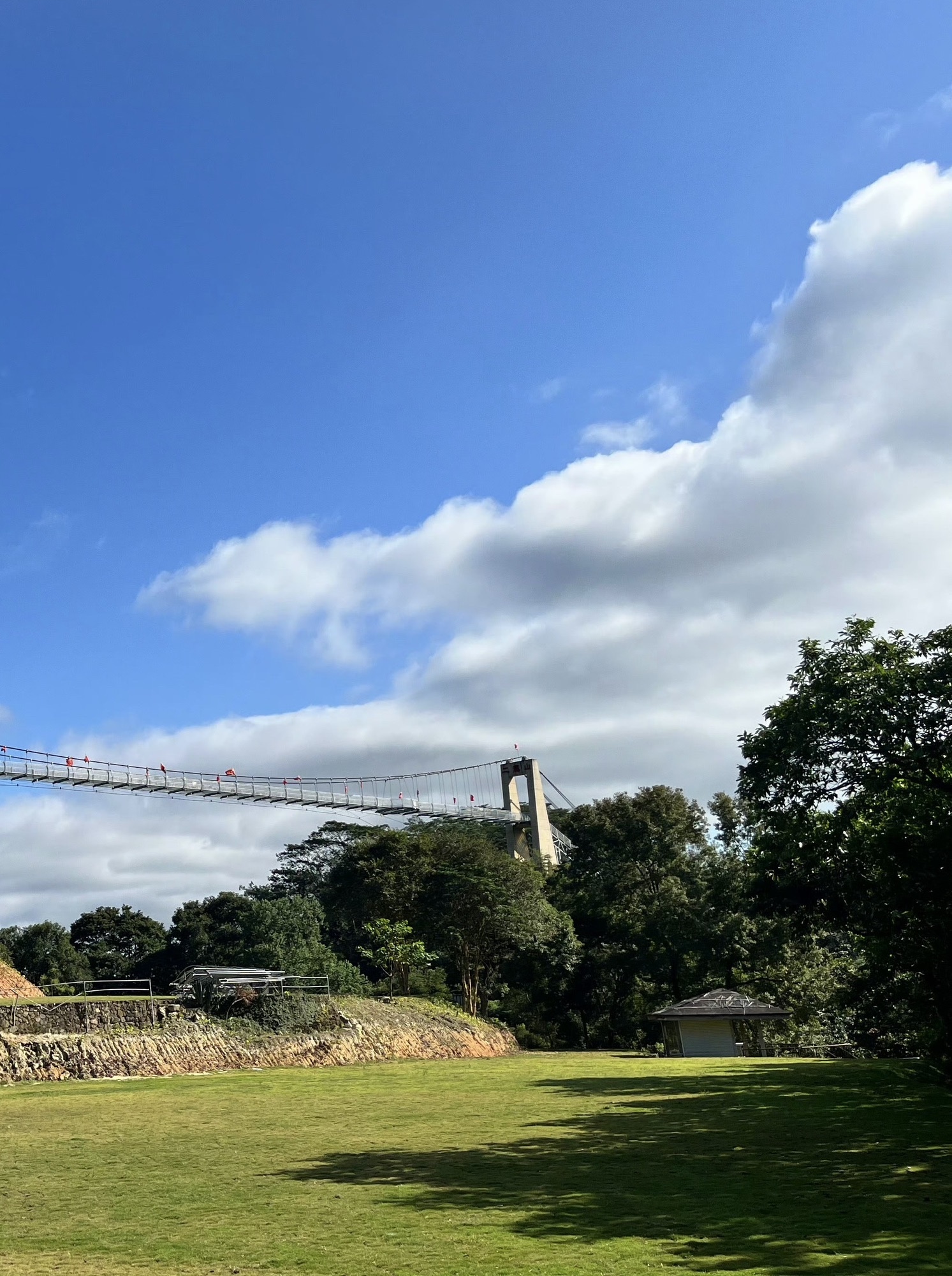 星罗纪大森林景区