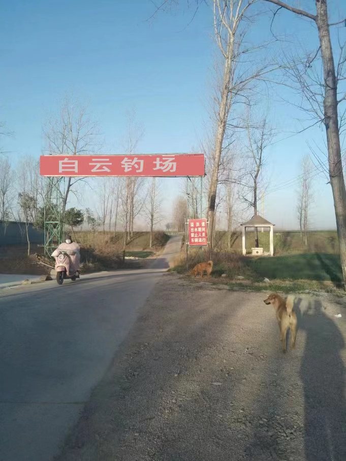 白云钓场