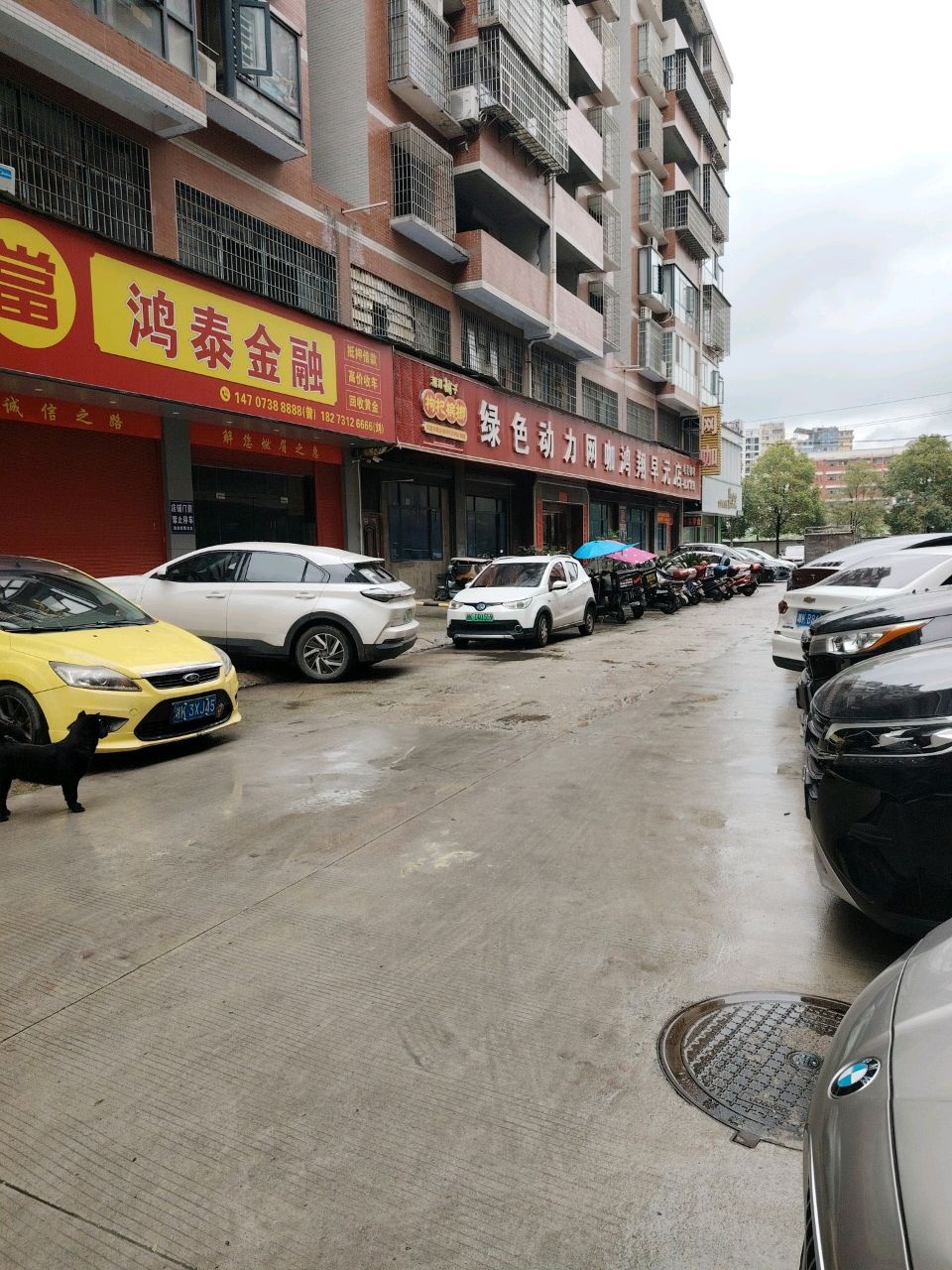 鸿泰金融