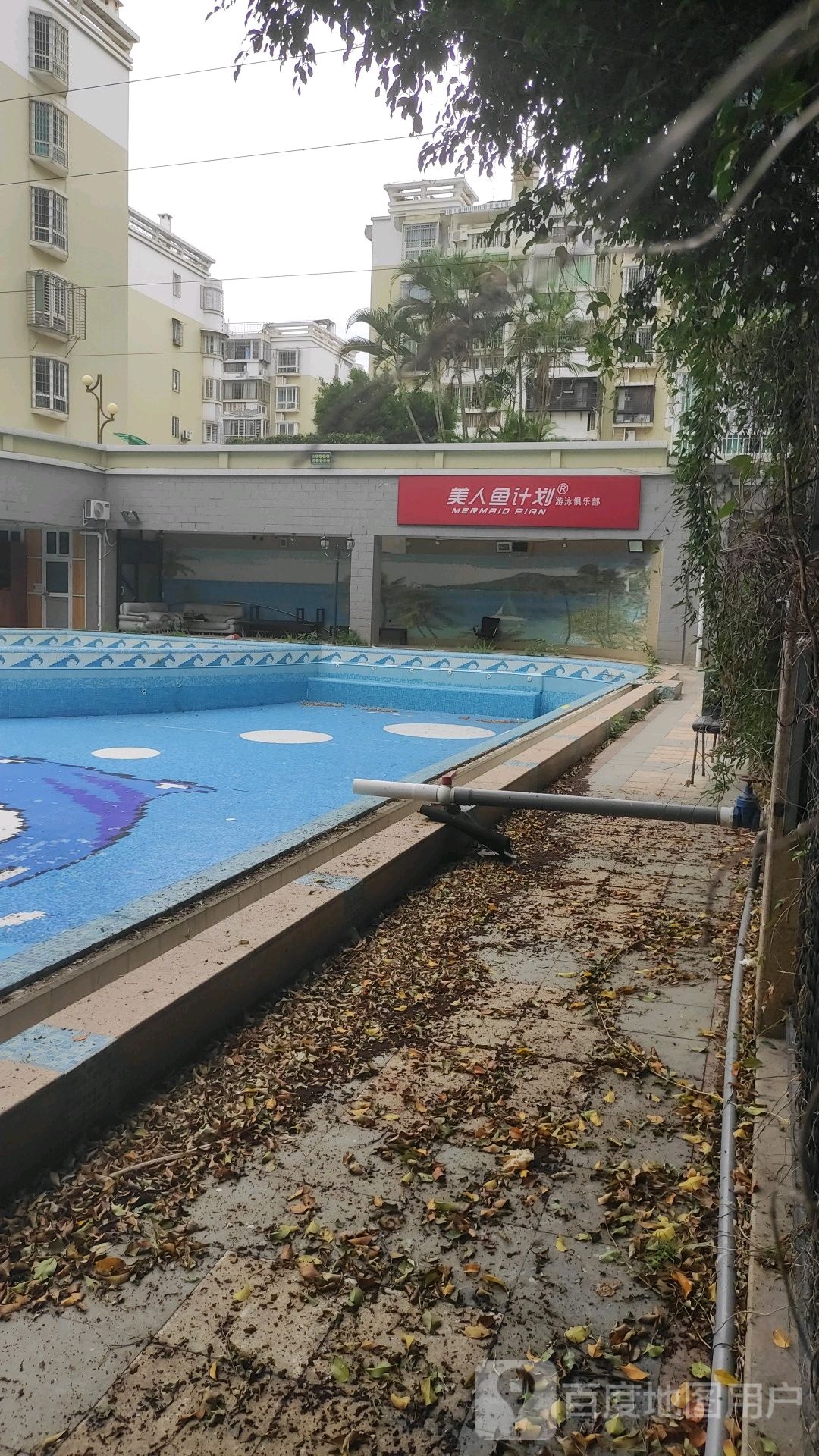 美人鱼计划有用俱乐部