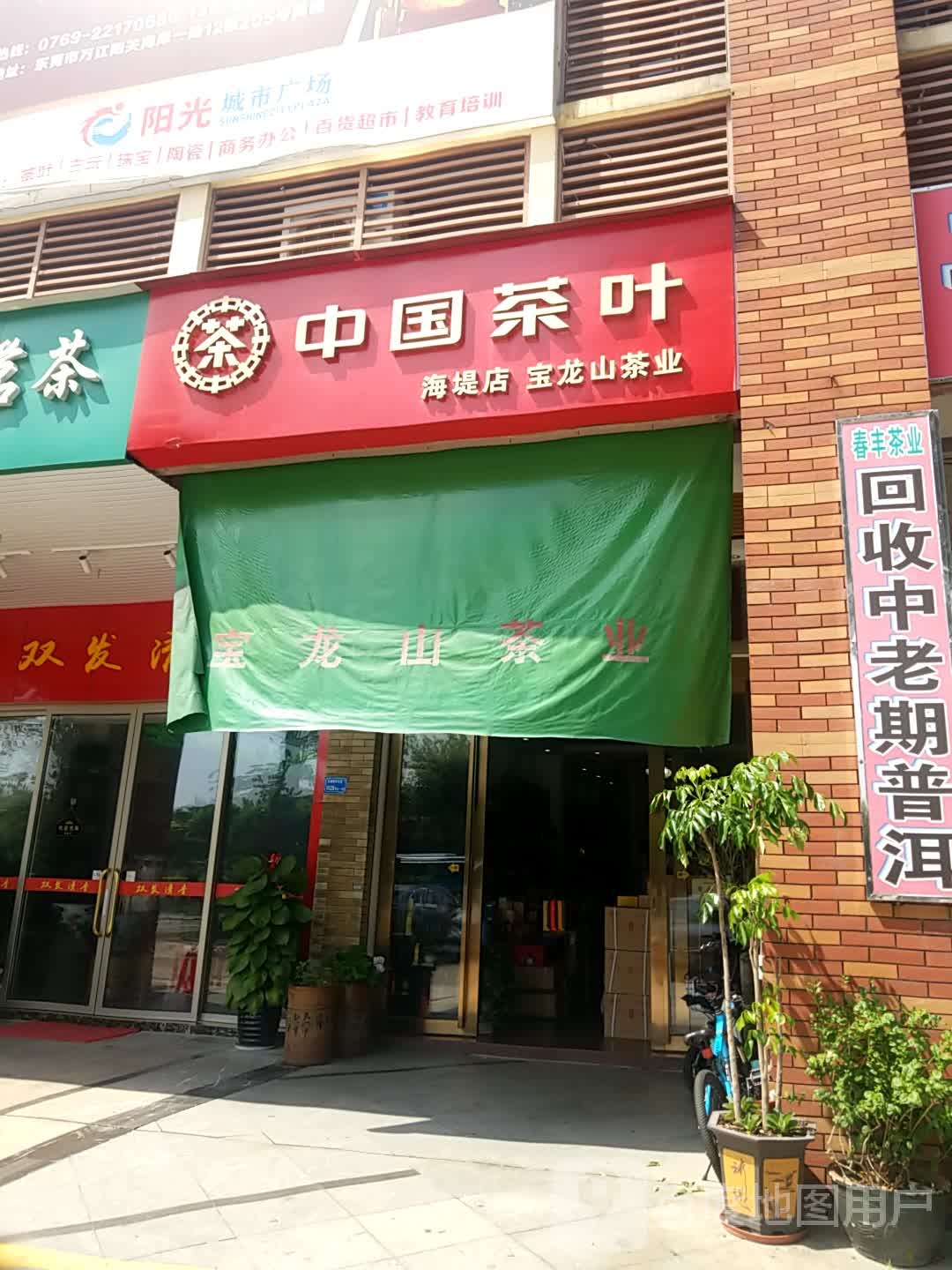 中国茶业(海堤店)