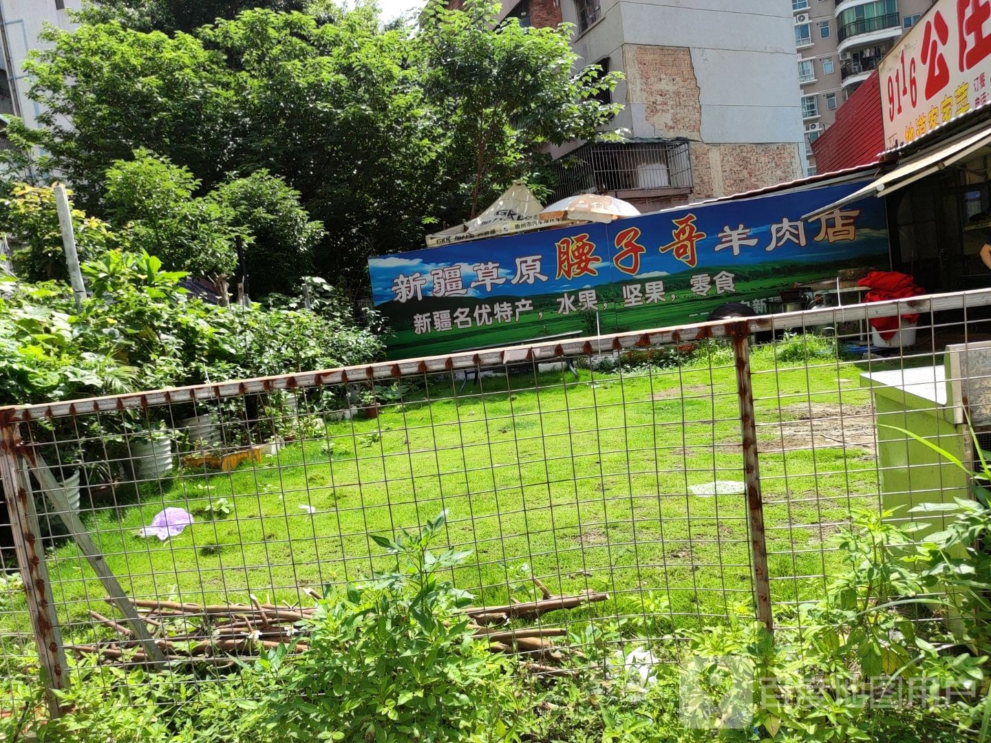新疆草原腰子哥烤肉店