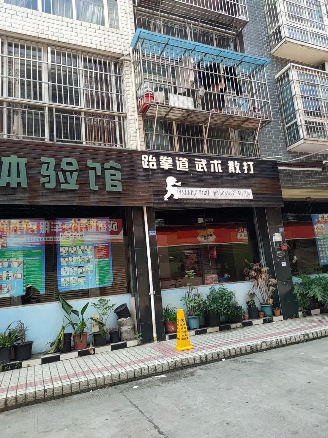 跆拳道武术散打