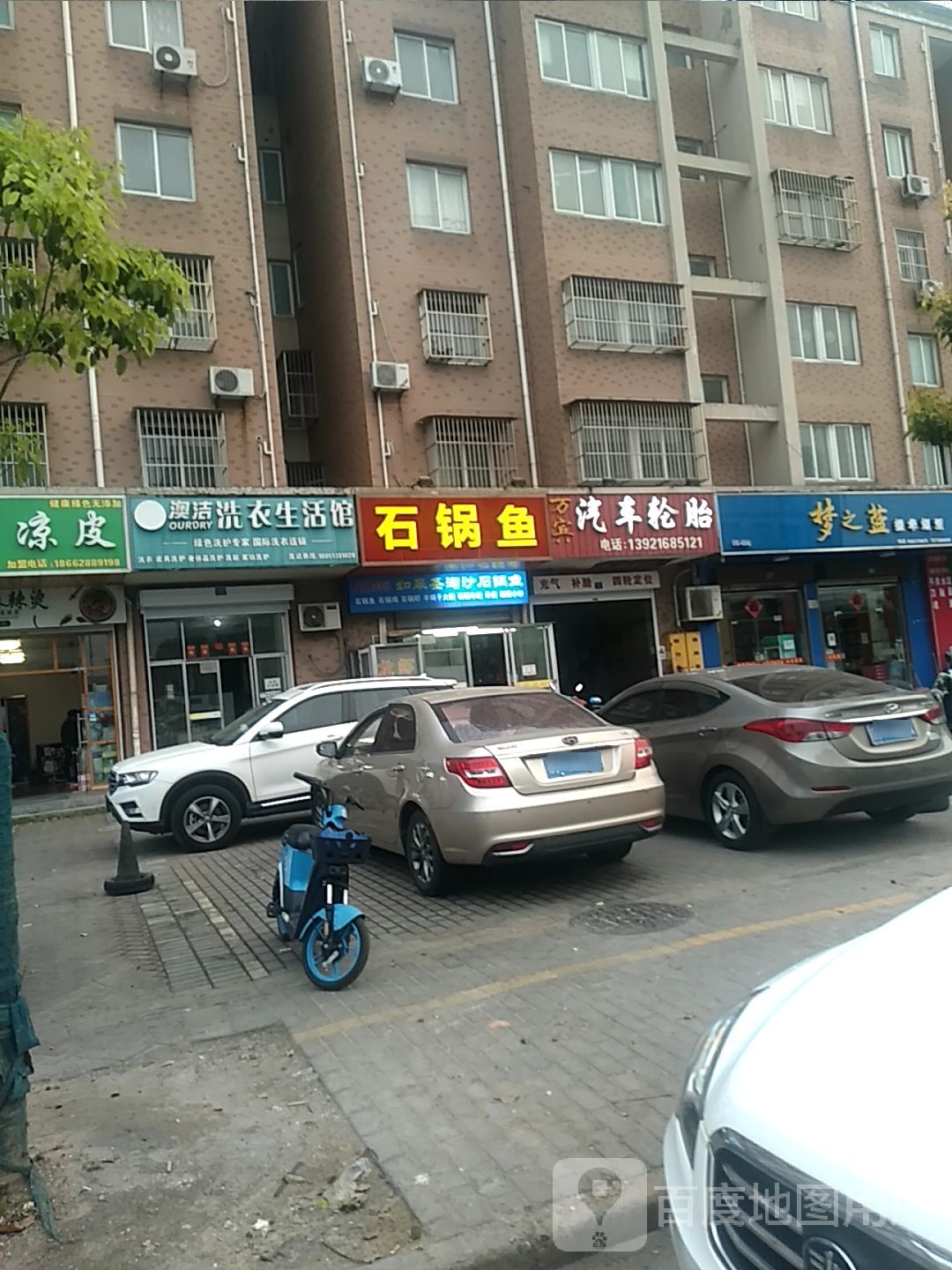 石斑鱼