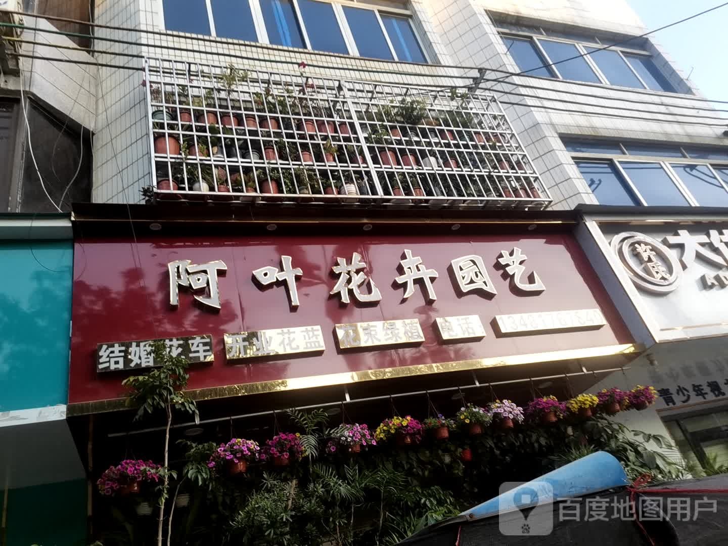 阿叶花卉园艺