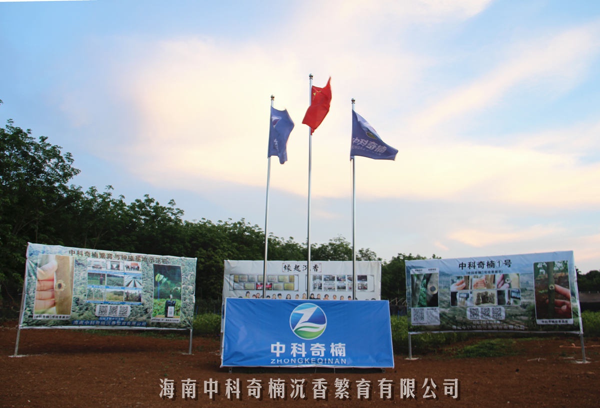 奇楠壹号沉香种植基地