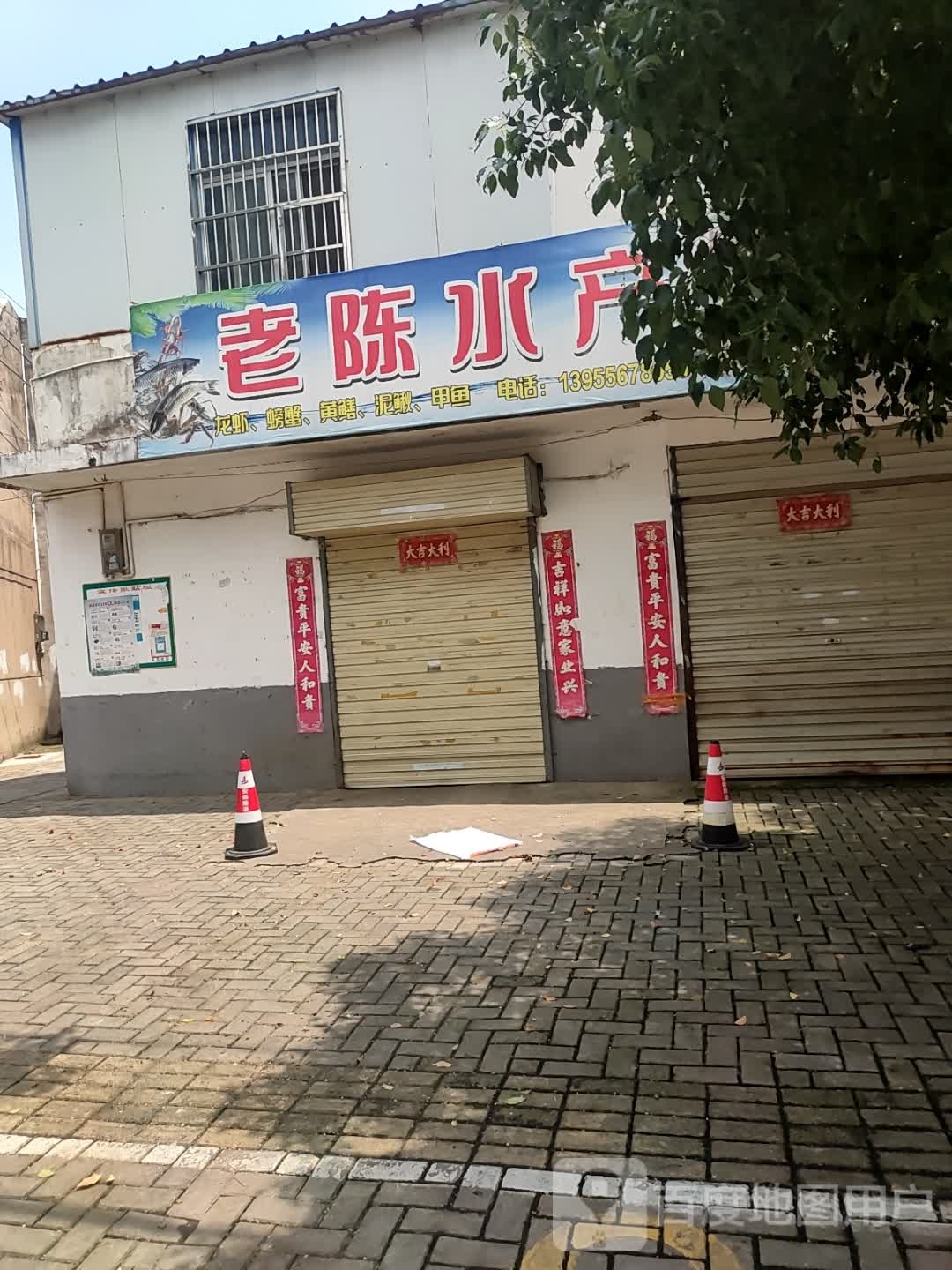 老陈水产(明秀路店)