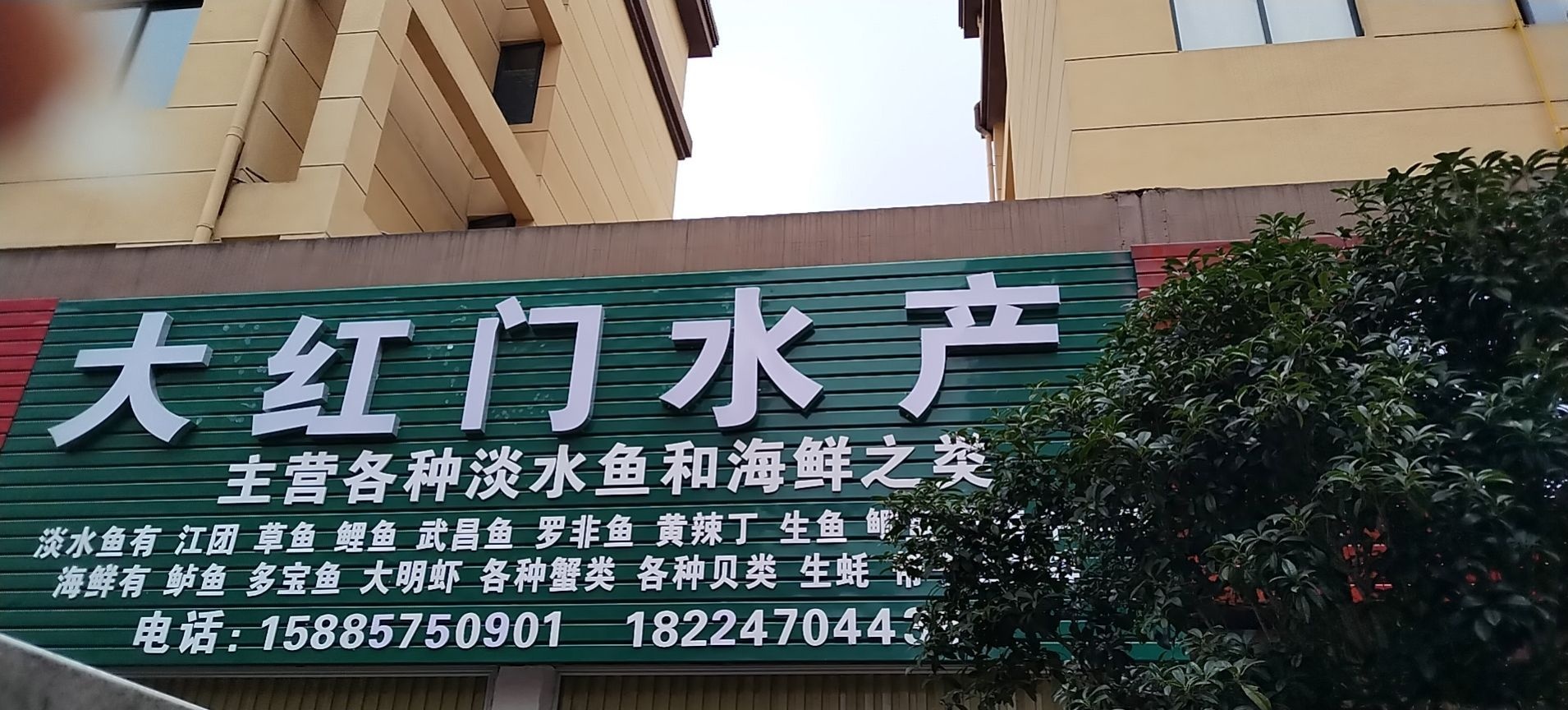 大红门水产