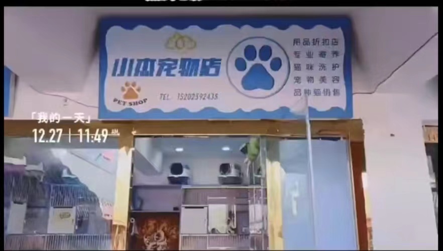 小杰宠物店