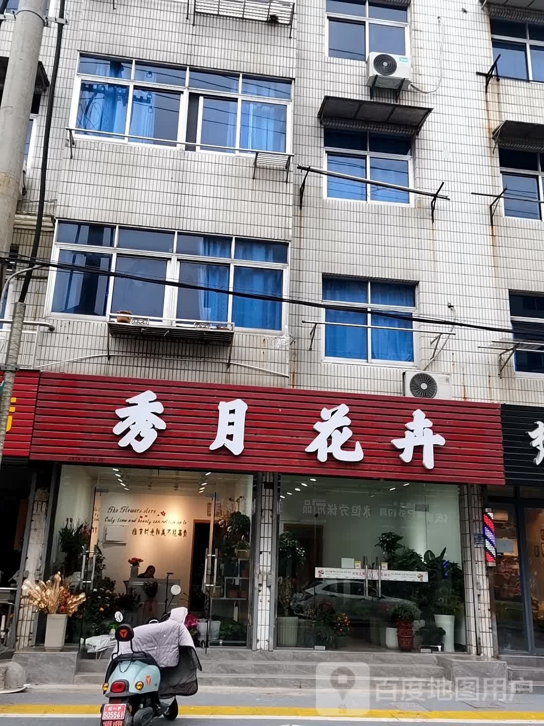 秀月花卉