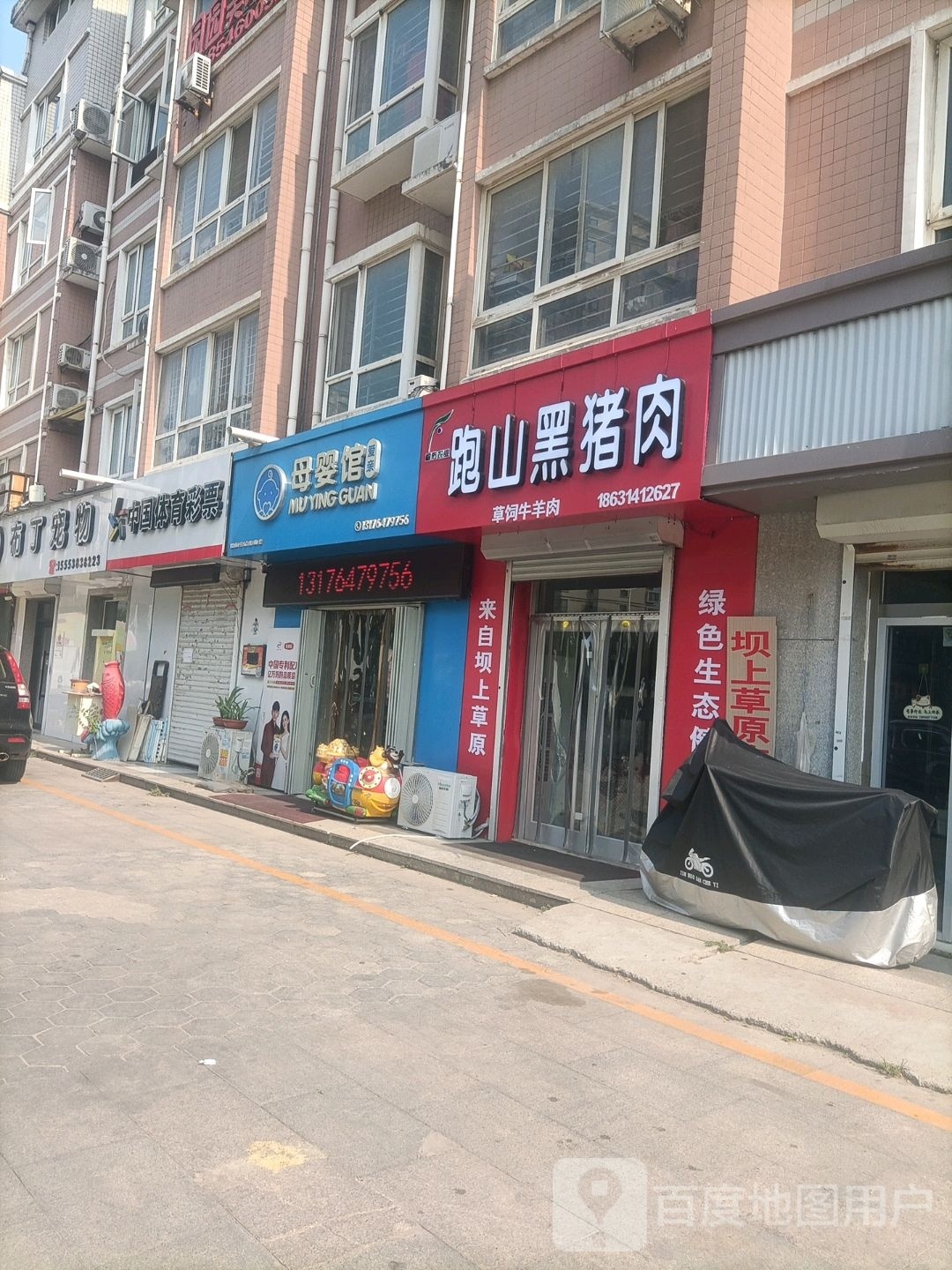 布丁宠物(天鹅花园店)