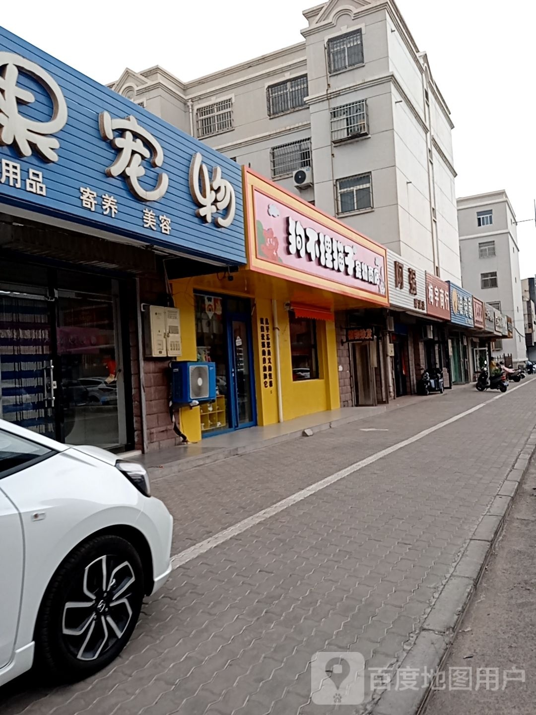 狗不理猫子宠物店店